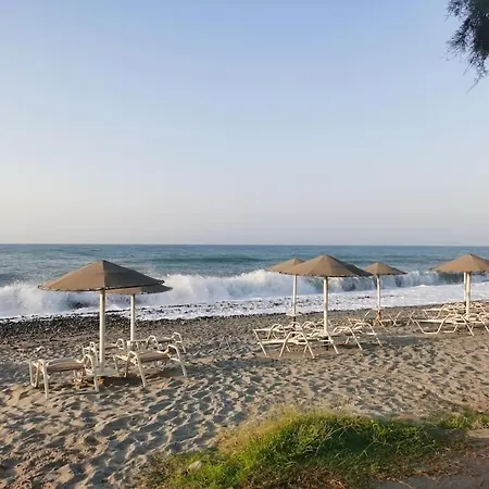 两卧室公寓-带露台花园 *