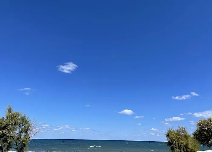 公寓 两卧室公寓-带露台花园