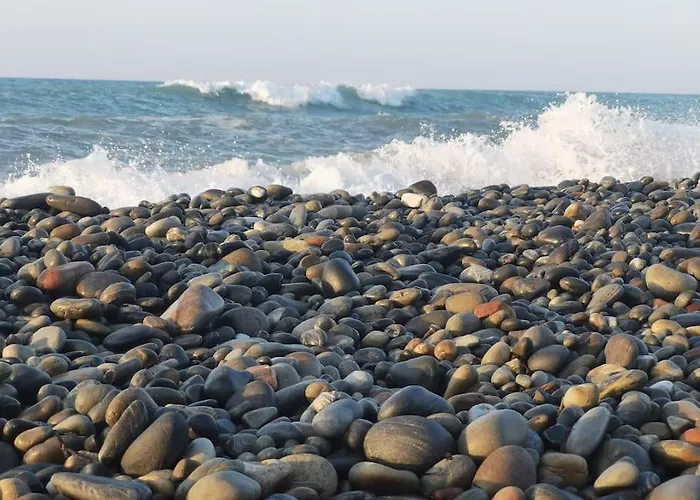 两卧室公寓-带露台花园 公寓 *